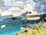 天王寺動物園に投稿された画像（2026/5/4）