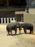 天王寺動物園に投稿された画像（2026/5/4）
