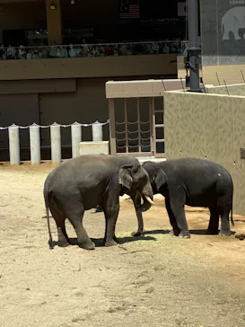 天王寺動物園に投稿された画像（2026/5/4）