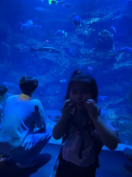 京都鉄道博物館×京都水族館に投稿された画像（2026/5/4）