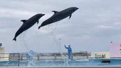 沖縄美ら海水族館に投稿された画像（2026/5/4）