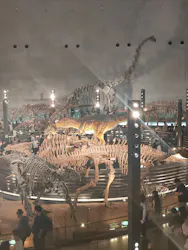 福井県立恐竜博物館に投稿された画像（2026/5/4）