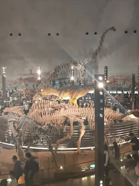福井県立恐竜博物館に投稿された画像（2026/5/4）