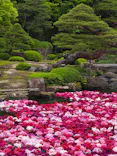 日本庭園　由志園に投稿された画像（2026/5/4）