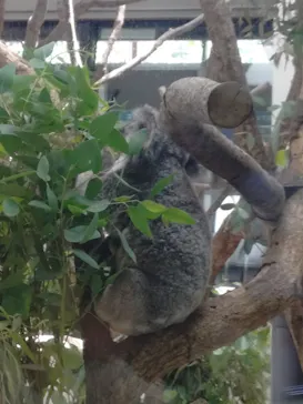 こども動物自然公園（埼玉県公園緑地協会）に投稿された画像（2026/5/4）