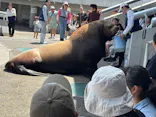 大分マリーンパレス水族館 「うみたまご」に投稿された画像（2026/5/4）