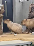 AQUARIUM × ART　atoaに投稿された画像（2026/5/4）