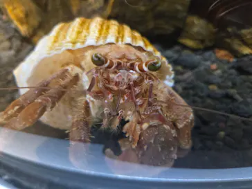 AQUARIUM × ART　atoaに投稿された画像（2026/5/4）