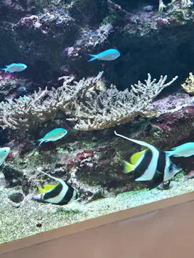 AQUARIUM × ART　atoaに投稿された画像（2026/5/4）