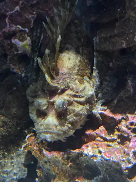 AQUARIUM × ART　atoaに投稿された画像（2026/5/4）