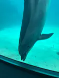 名古屋港水族館に投稿された画像（2026/5/4）