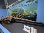 大絶滅展ー生命史のビッグファイブ（名古屋会場）に投稿された画像（2026/5/4）
