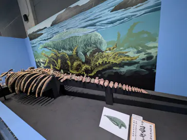 大絶滅展ー生命史のビッグファイブ（名古屋会場）に投稿された画像（2026/5/4）