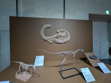 大絶滅展ー生命史のビッグファイブ（名古屋会場）に投稿された画像（2026/5/4）