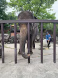 ANIMAL WONDER REZOURT 市原ぞうの国・サユリワールドに投稿された画像（2026/5/4）
