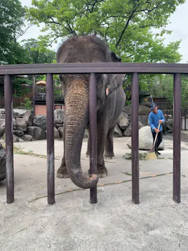 ANIMAL WONDER REZOURT 市原ぞうの国・サユリワールドに投稿された画像（2026/5/4）