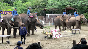 ANIMAL WONDER REZOURT 市原ぞうの国・サユリワールドに投稿された画像（2026/5/4）