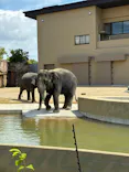 天王寺動物園に投稿された画像（2026/5/4）