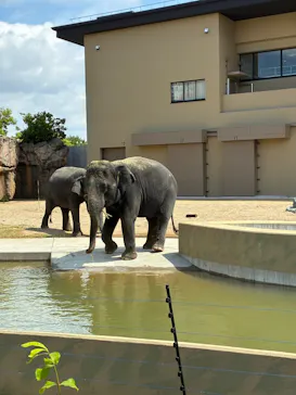 天王寺動物園に投稿された画像（2026/5/4）