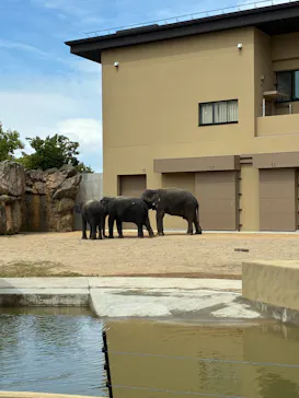 天王寺動物園に投稿された画像（2026/5/4）