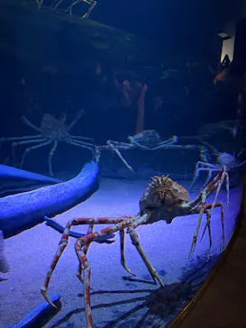 竹島水族館に投稿された画像（2026/5/4）