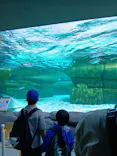 天王寺動物園に投稿された画像（2026/5/4）