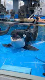 名古屋港水族館に投稿された画像（2026/5/4）