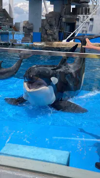 名古屋港水族館に投稿された画像（2026/5/4）