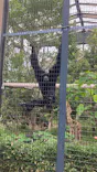 名古屋市東山動植物園に投稿された画像（2026/5/4）