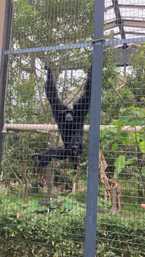 名古屋市東山動植物園に投稿された画像（2026/5/4）
