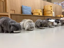 Cat Café MOFF 枚方モール店に投稿された画像（2026/5/4）