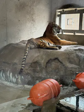 天王寺動物園に投稿された画像（2026/5/4）