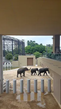 天王寺動物園に投稿された画像（2026/5/4）