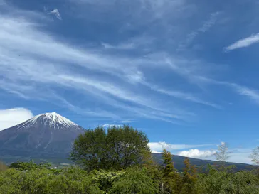 まかいの牧場に投稿された画像（2026/5/4）