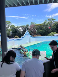 しながわ水族館に投稿された画像（2026/5/4）