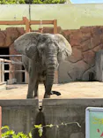 東武動物公園に投稿された画像（2026/5/4）