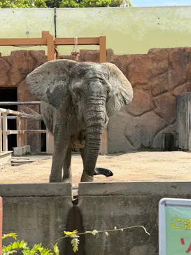 東武動物公園に投稿された画像（2026/5/4）