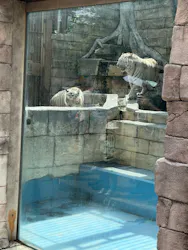 東武動物公園に投稿された画像（2026/5/4）