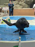 サンシャイン水族館に投稿された画像（2026/5/4）
