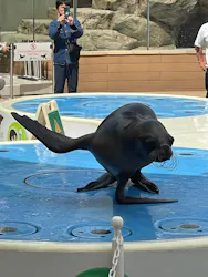 サンシャイン水族館に投稿された画像（2026/5/4）
