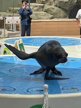 サンシャイン水族館に投稿された画像（2026/5/4）