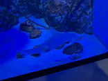 竹島水族館に投稿された画像（2026/5/4）