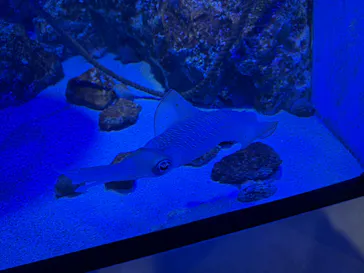 竹島水族館に投稿された画像（2026/5/4）