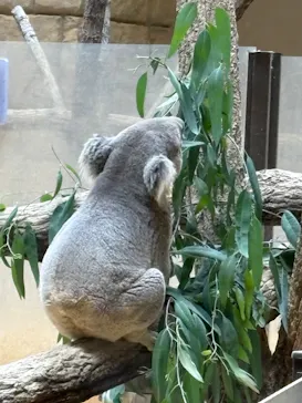 名古屋市東山動植物園に投稿された画像（2026/5/4）