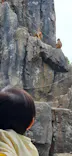 東武動物公園に投稿された画像（2026/5/4）