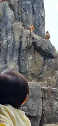 東武動物公園に投稿された画像（2026/5/4）