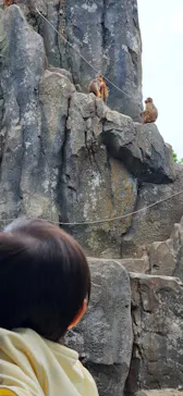 東武動物公園に投稿された画像（2026/5/4）
