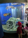 アクアワールド茨城県大洗水族館に投稿された画像（2026/5/4）