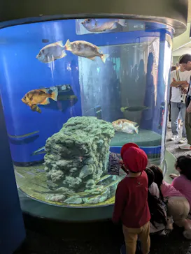 アクアワールド茨城県大洗水族館に投稿された画像（2026/5/4）