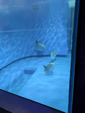 アクアワールド茨城県大洗水族館に投稿された画像（2026/5/4）